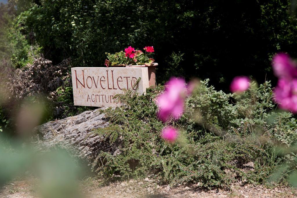 Novelleto Villa Monteriggioni Luaran gambar