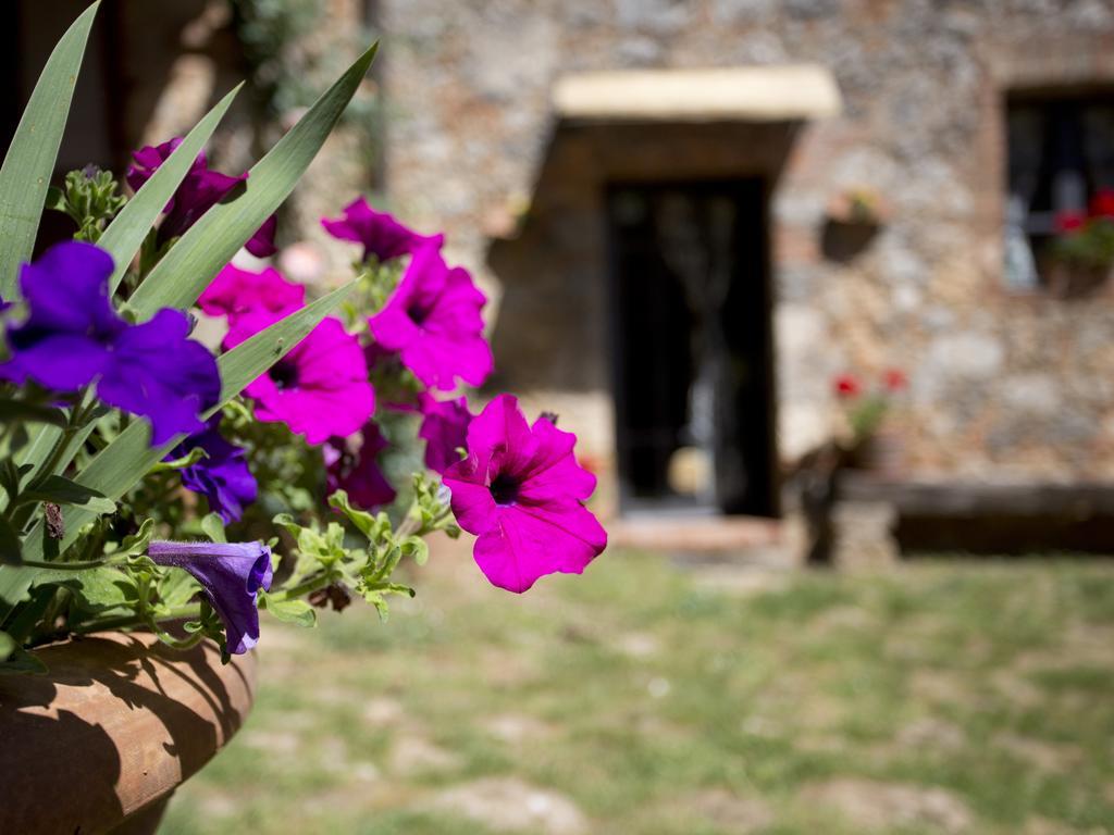 Novelleto Villa Monteriggioni Luaran gambar