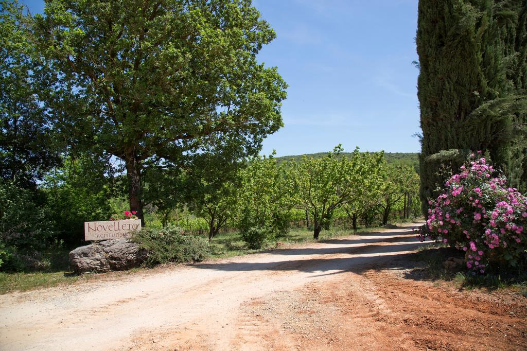 Novelleto Villa Monteriggioni Luaran gambar